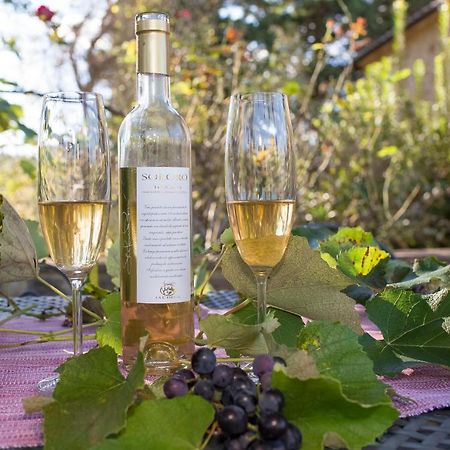 Podere La Casetta - Casa Di Campagna Montaione Eksteriør billede