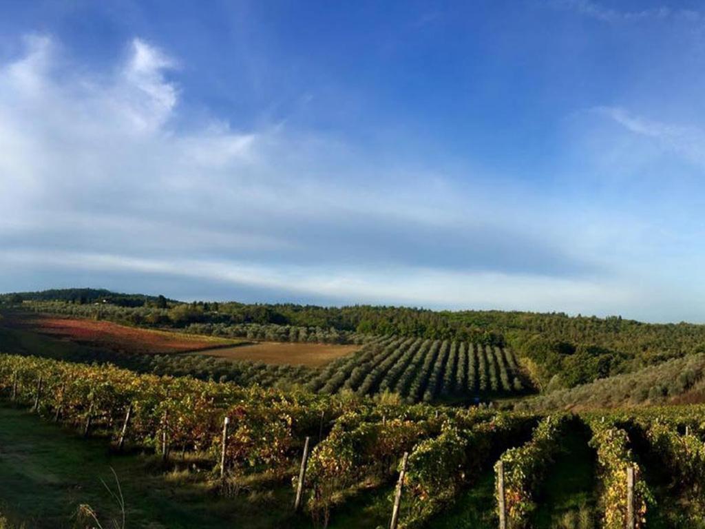 Podere La Casetta - Casa Di Campagna Montaione Eksteriør billede