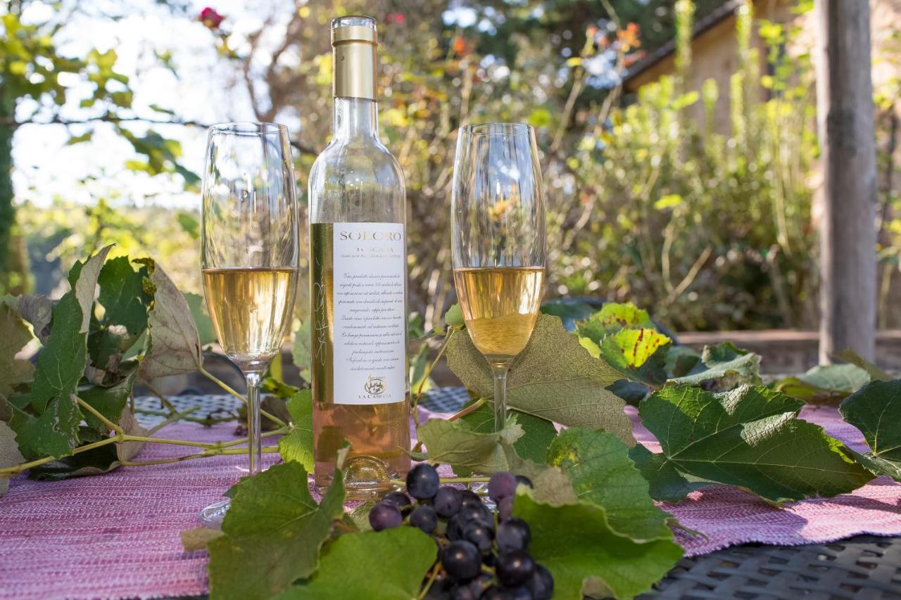 Podere La Casetta - Casa Di Campagna Montaione Eksteriør billede