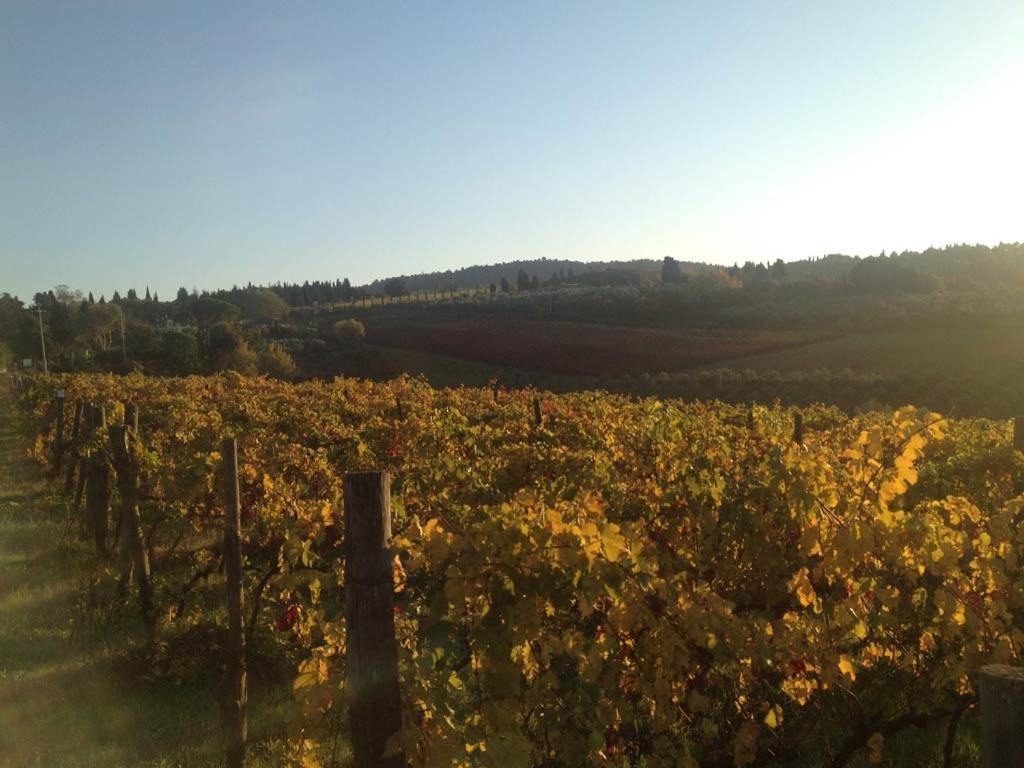 Podere La Casetta - Casa Di Campagna Montaione Eksteriør billede