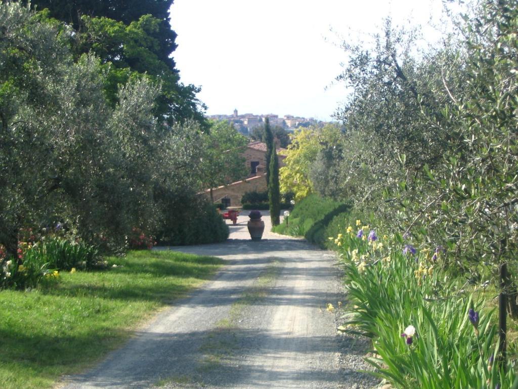 Podere La Casetta - Casa Di Campagna Montaione Eksteriør billede